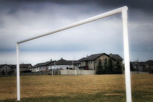 他的影響力 他的影響力