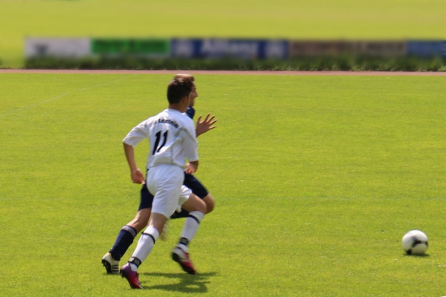 地方政府的 地方政府的