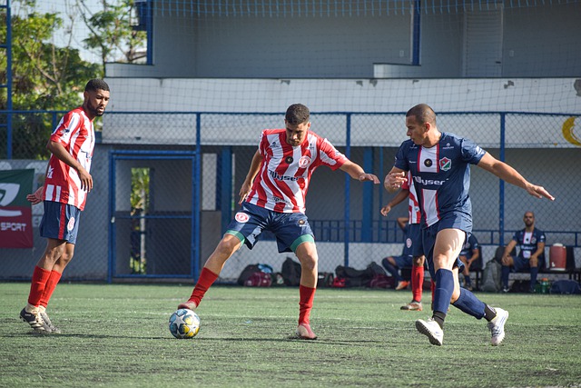 这一理念影 这一理念影