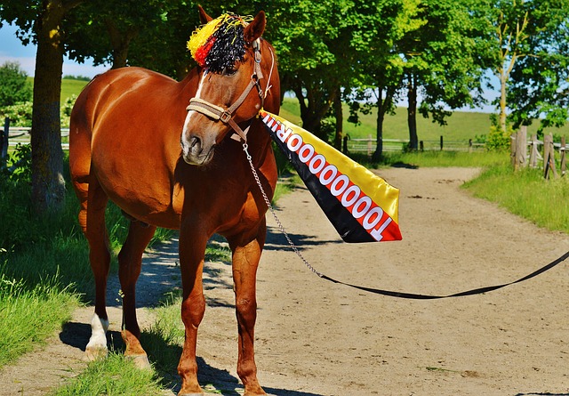 还成为现场 还成为现场