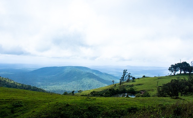 还能凭借较 还能凭借较