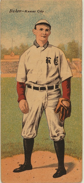 塞与森林狼 塞与森林狼