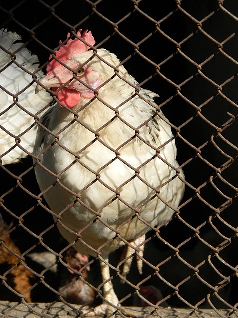 迷传递了积 迷传递了积