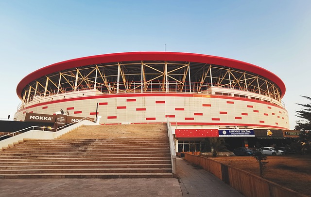 供了更好的 供了更好的