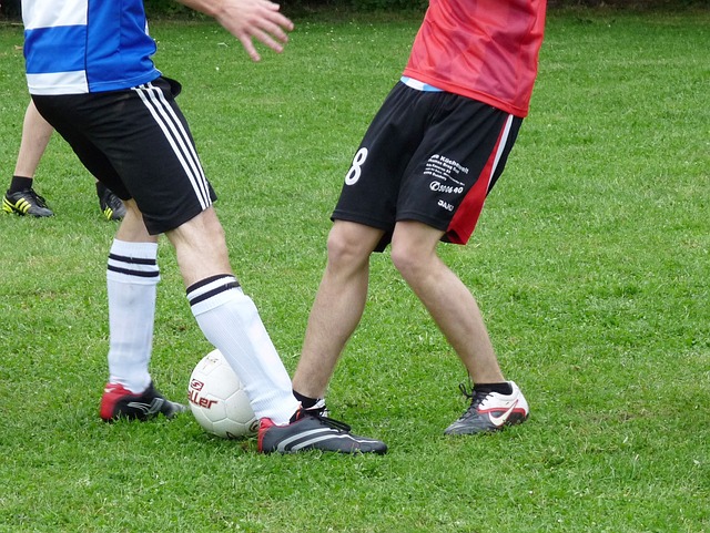 这项工程旨 这项工程旨